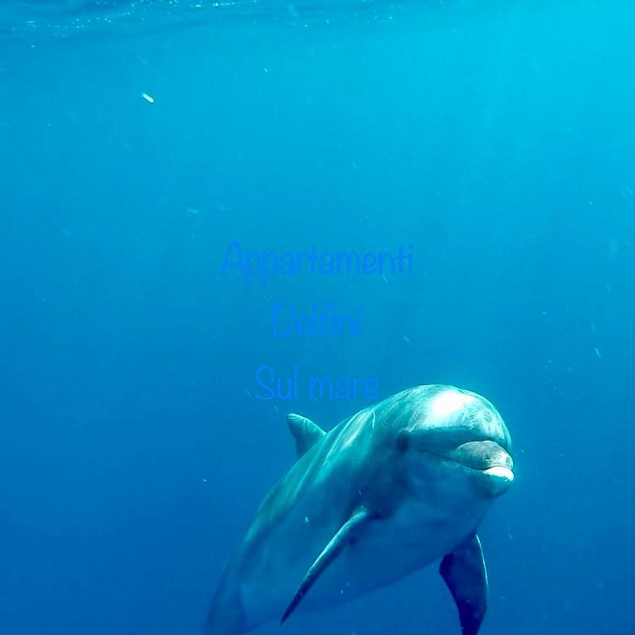 Appartamento Delfini Sul Mare Golfo Aranci Exterior foto